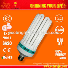 17MM 8U 200W Energy Saving lampe Tube 10000H CE qualité